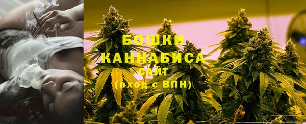 скорость Вяземский