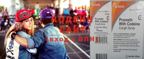 скорость Вяземский
