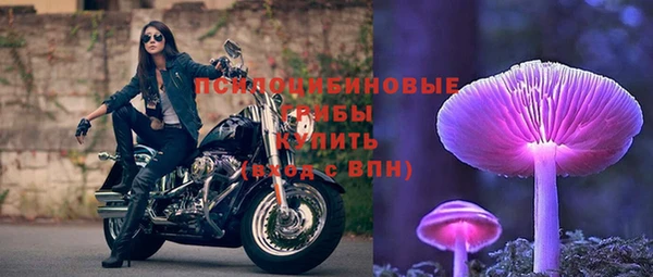 скорость Вяземский