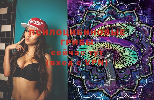 скорость Вяземский